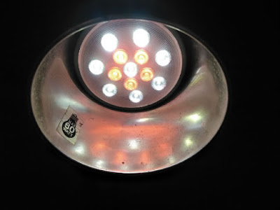 ikeaのVÄXER LED電球 栽培用 PAR30 E26点灯時色味