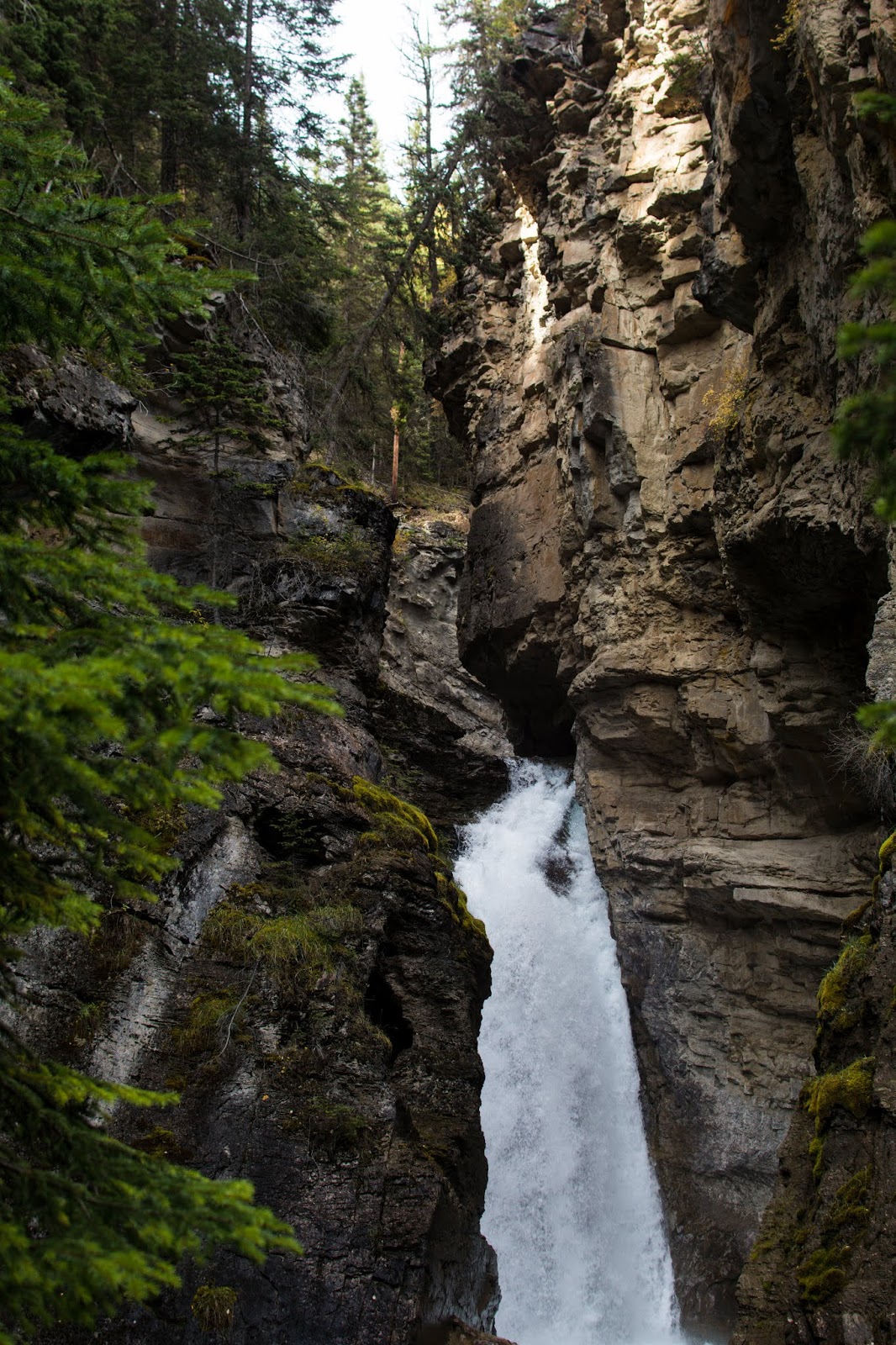 Johnston Canyon & Ink Pots (Banff National Park Hiking Expedition) H