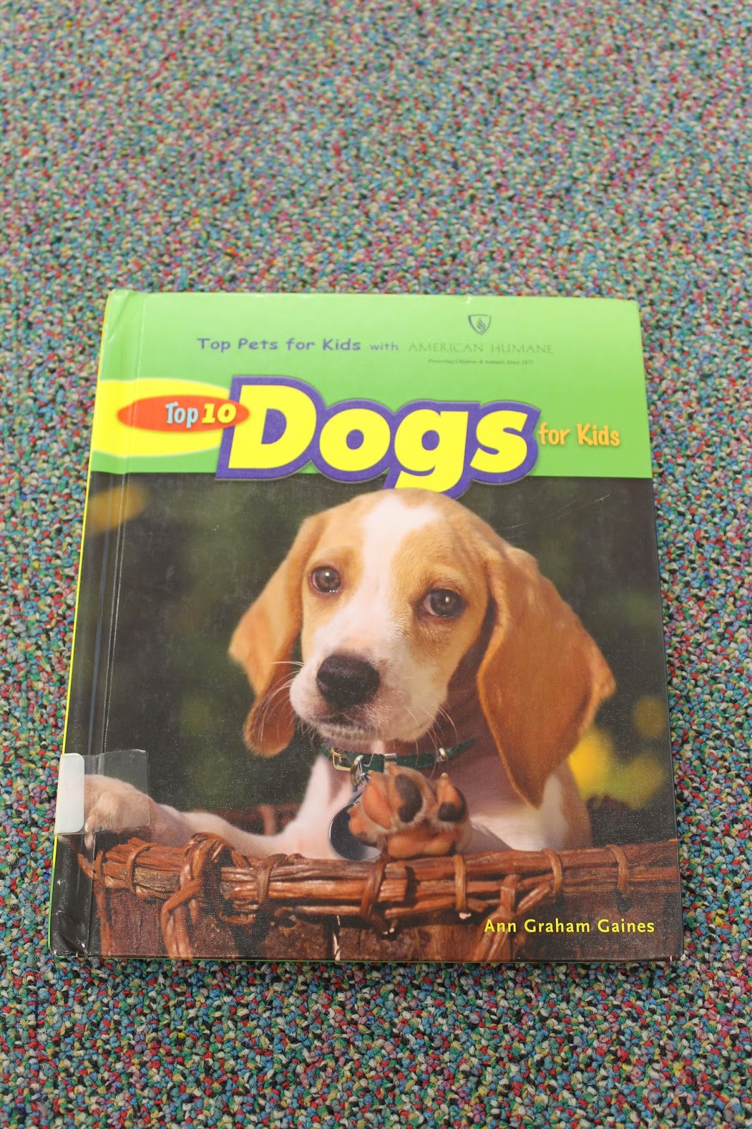 once-upon-a-time-a-pine-palace-august-2014