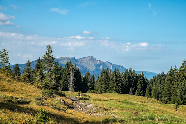 Wandertrilogie Allgäu  Etappe 43  Balderschwang - Grasgehren  Himmelsstürmer Route 11