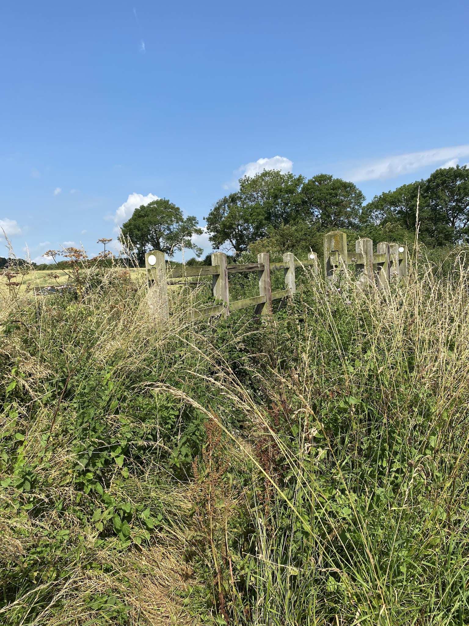 aliwalks Southwick circular from water tower.