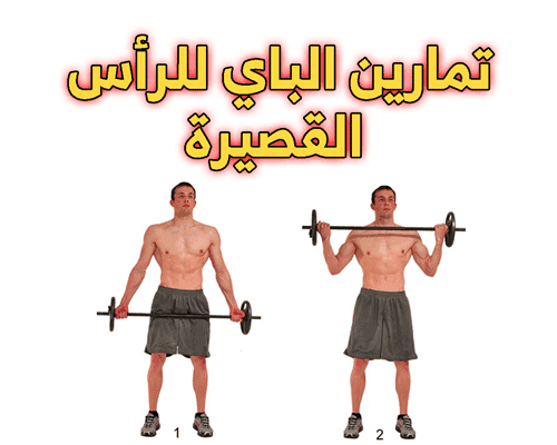 تمارين البايسبس