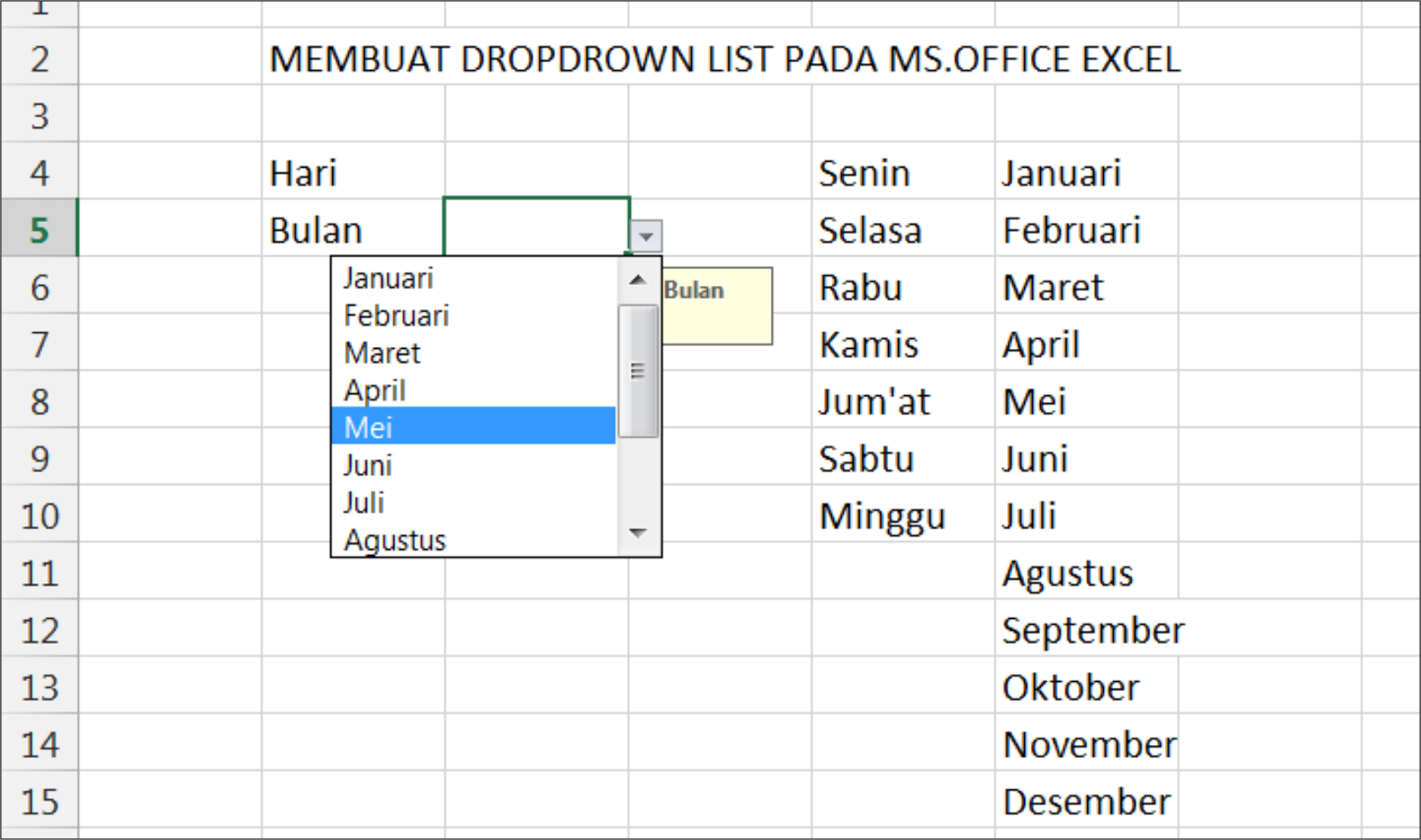 Dropdown List Microsoft Office Excel