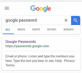 google-password