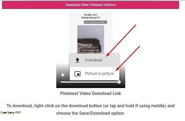 download video pinterest