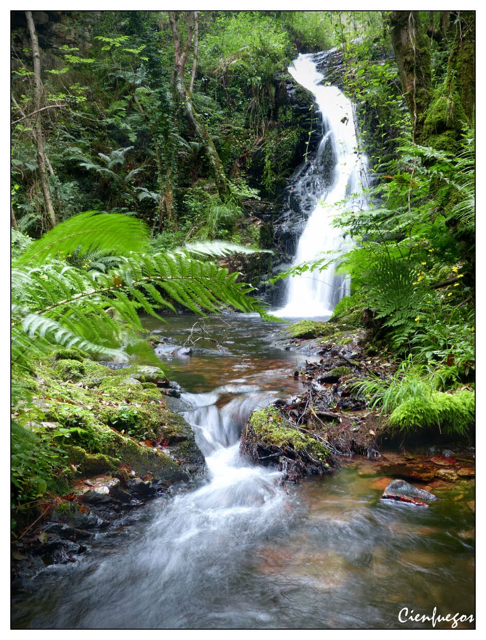 Caleyando con Cienfuegos Cascada de Bolgues