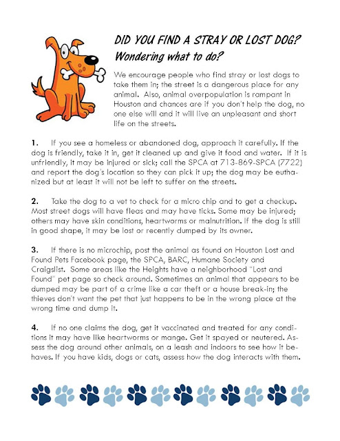 Barrio Watch Dog: Found a lost or stray dog? This information may help.