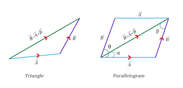 What are Scalars and Vectors in Physics?