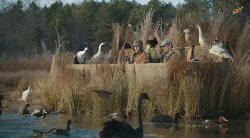 birds tons commercials august hunters shooting guys any around re