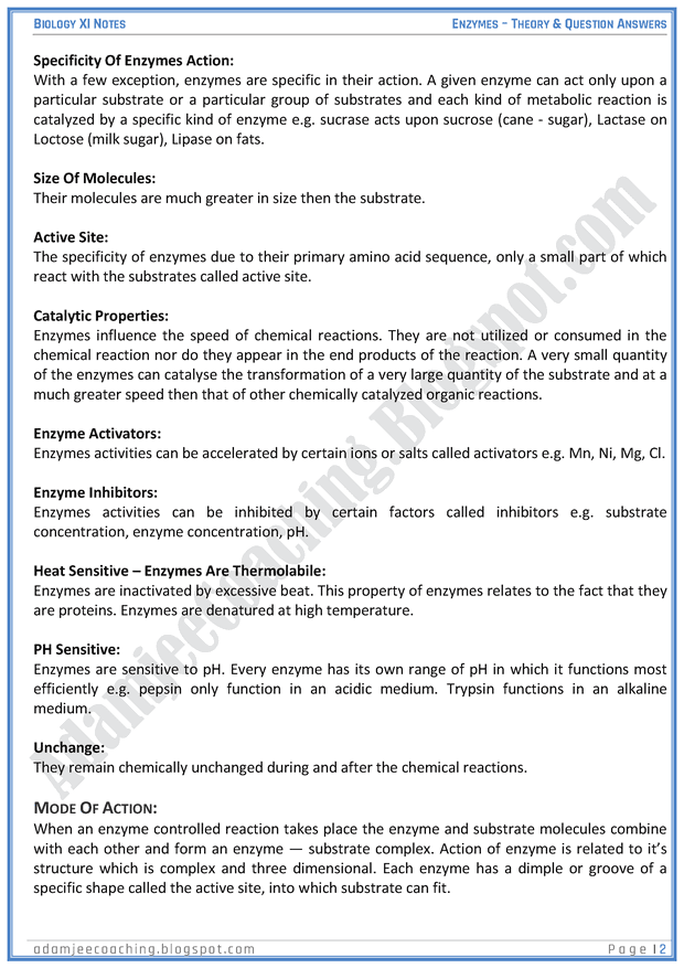 Adamjee Coaching: The Enzymes - Descriptive Question Answers - Biology 11th