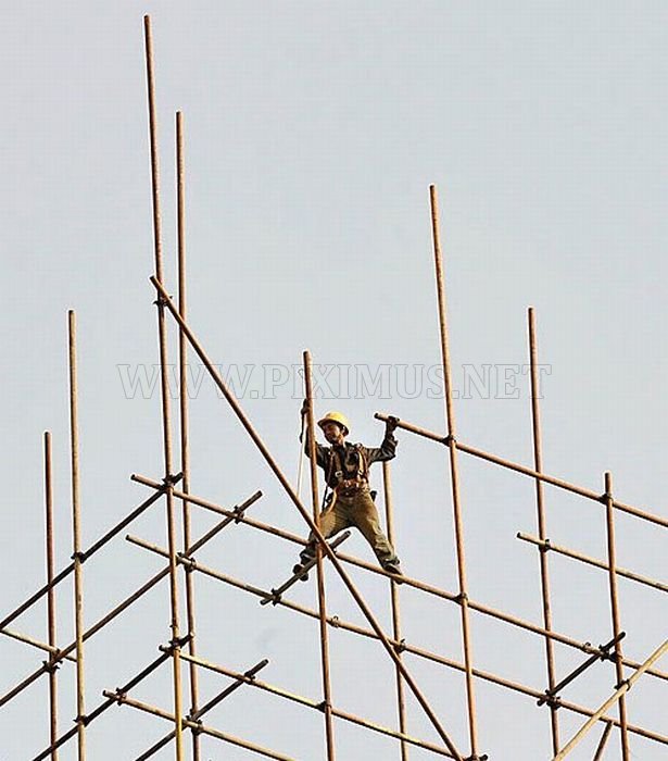 scaffold-15.jpg