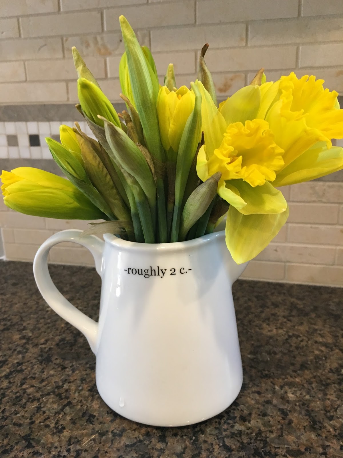 Make My Day Camp Arranging Daffodils