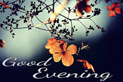 Good evening with flowers messages Good evening with flowers messages