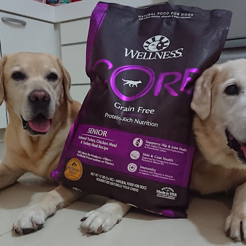 wellness core senior