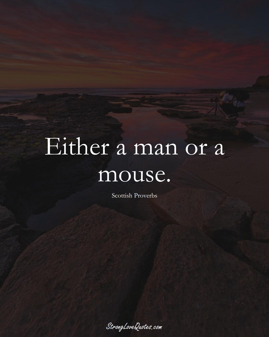 Either a man or a mouse. (Scottish Sayings);  #EuropeanSayings