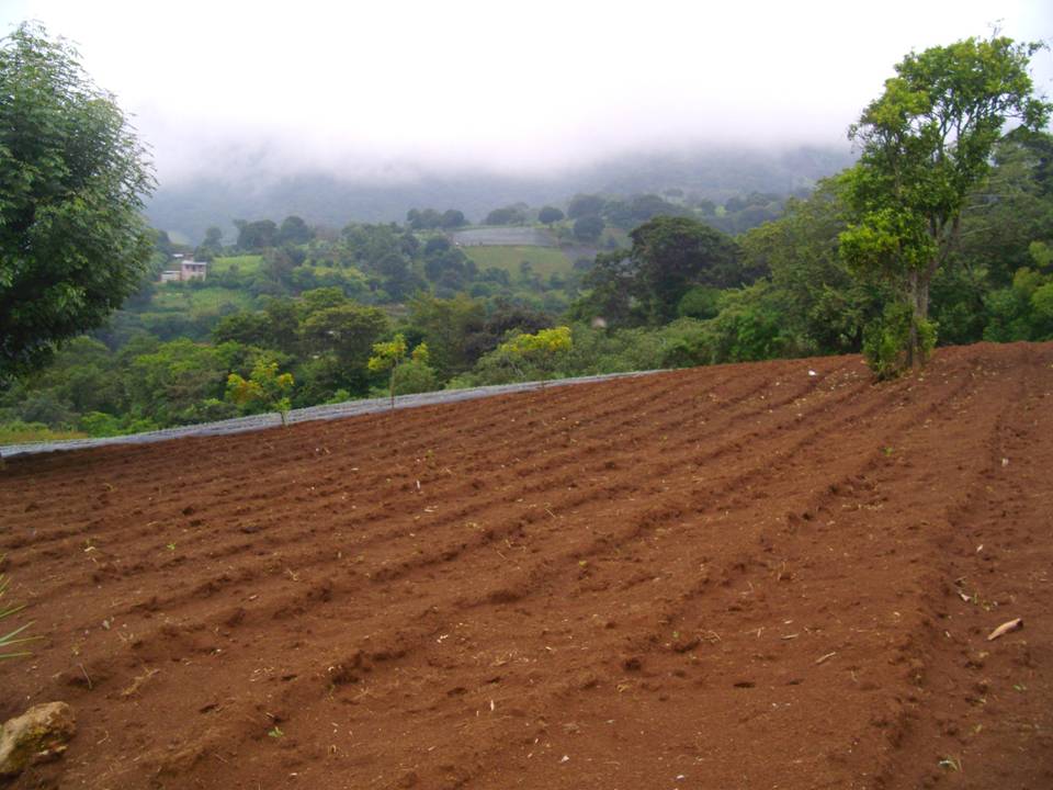 CITYMAX LATINOAMERICA TERRENO EN VENTA CERCANO A LA ANTIGUA GUATEMALA