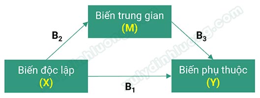 Mô hình biến trung gian, biến điều tiết, biến kiểm soát