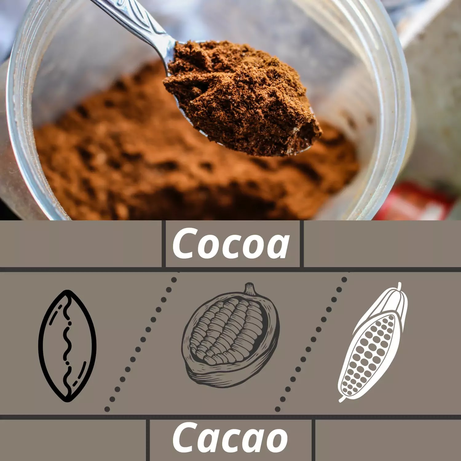 Cacao fat burning food for men