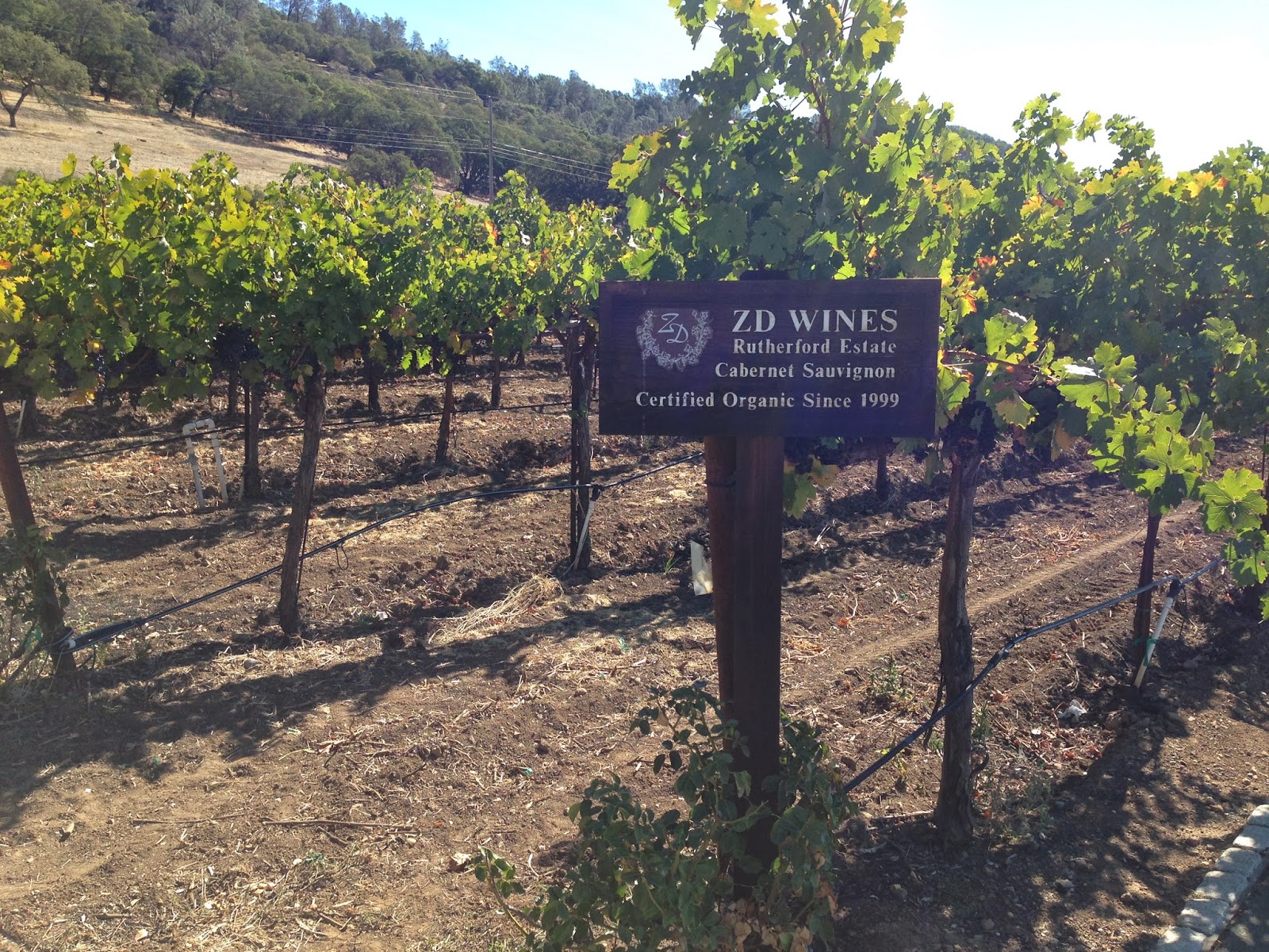 Wine Mise en abyme ZD Wines, home of Abacus (among other things)