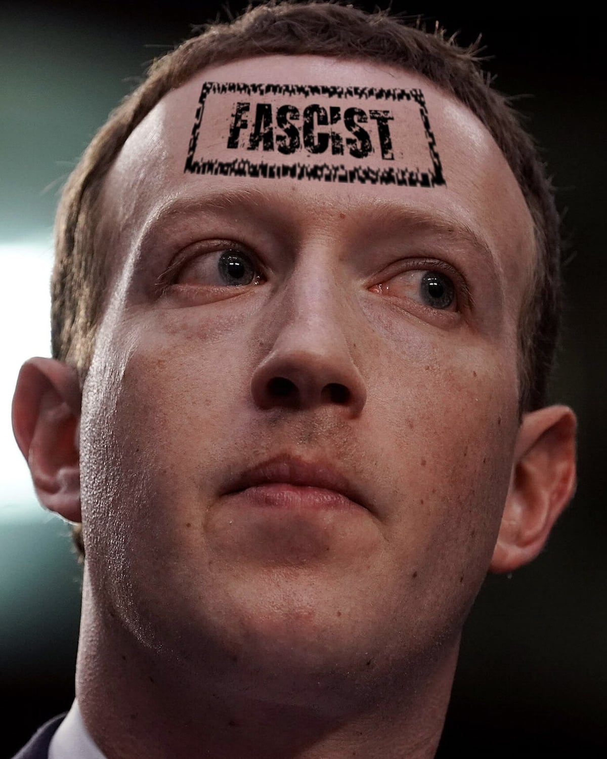 Political Follies Fascist...