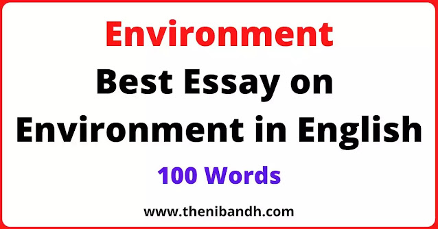 Short essay on environment image