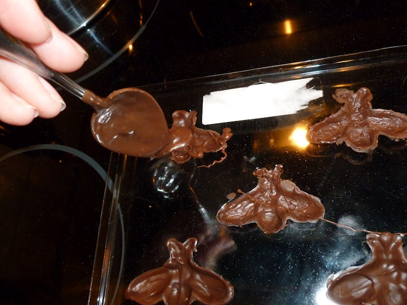 In the Kitchen with Harry Potter Fudge Flies