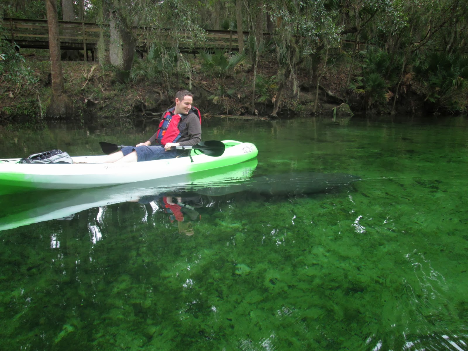 Central Florida Kayak Tours: Graham and Rebecca's Winter Manatee
