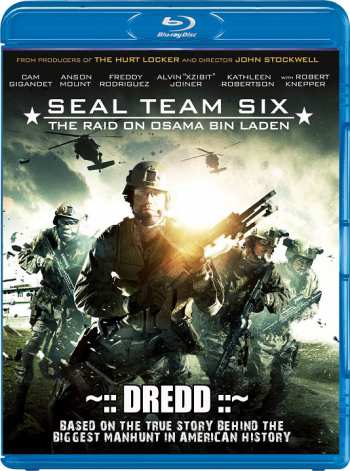 Seal Team Six The Raid on Osama Bin Laden 2012 Hindi Dual Audio 720p BRRip 1.2GB