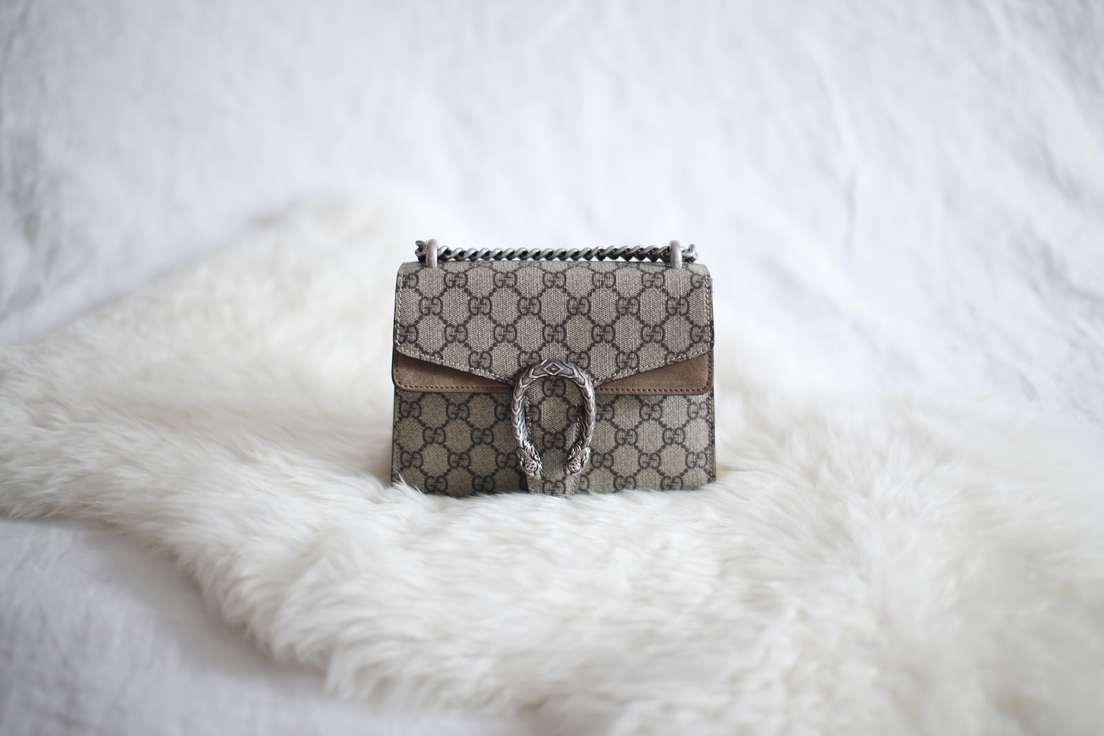 dionysus gg supreme canvas coin purse on a chain