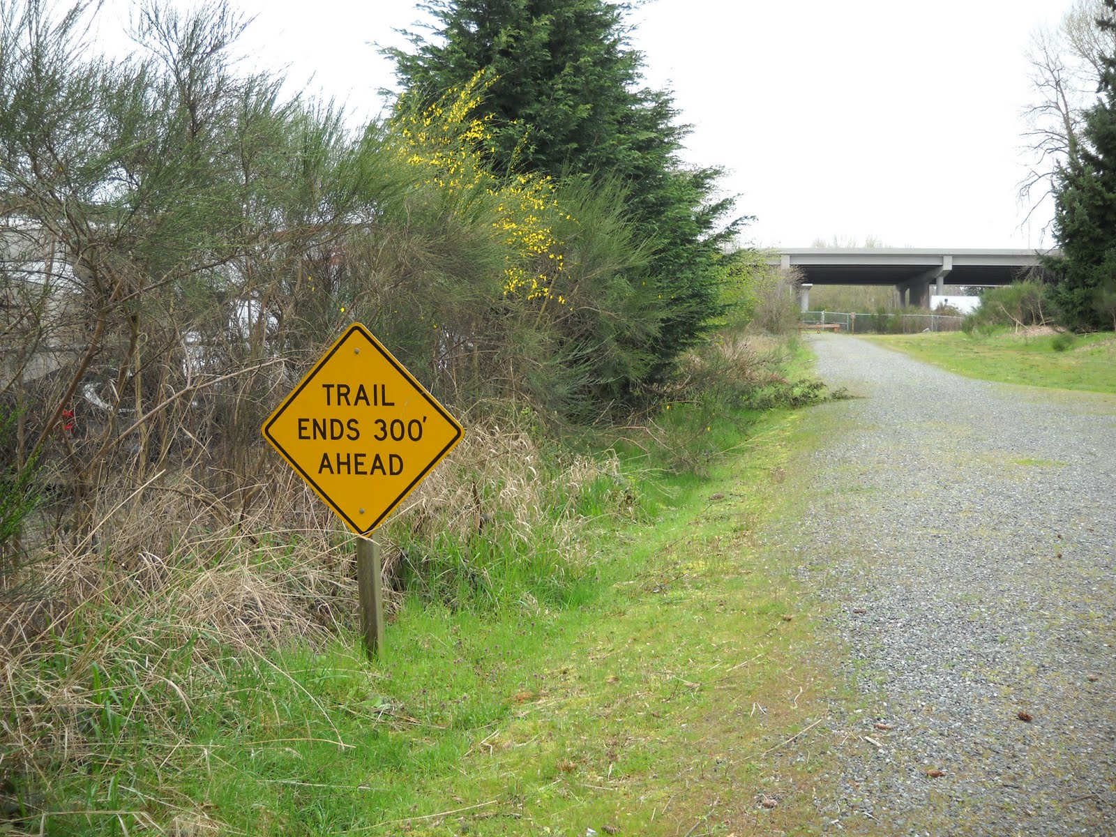 Kent's Bike Blog 30DaysofBiking East Lake Sammamish Trail & Bike Lane