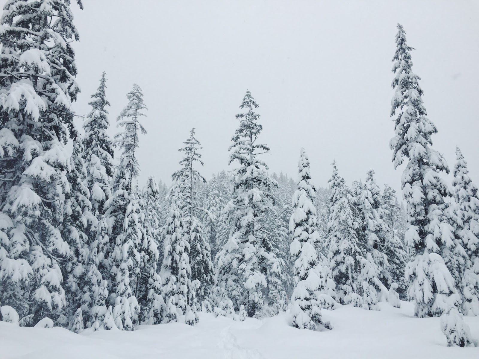 Snowshoeing Cypress Mountain Wanderlove Laura