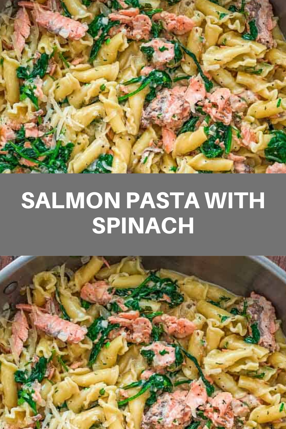SALMON PASTA WITH SPINACH