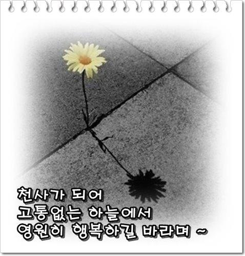 너무 슬프고 화나서 눈물이 나온 뉴스 (이모부부 학대) - 짤티비