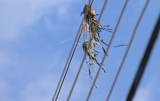 Maranhão registra mais de 400 ocorrências envolvendo pipas na rede elétrica em 2021 Maranhão registra mais de 400 ocorrências envolvendo pipas na rede elétrica em 2021