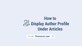 How to Display Author Profile Under Articles