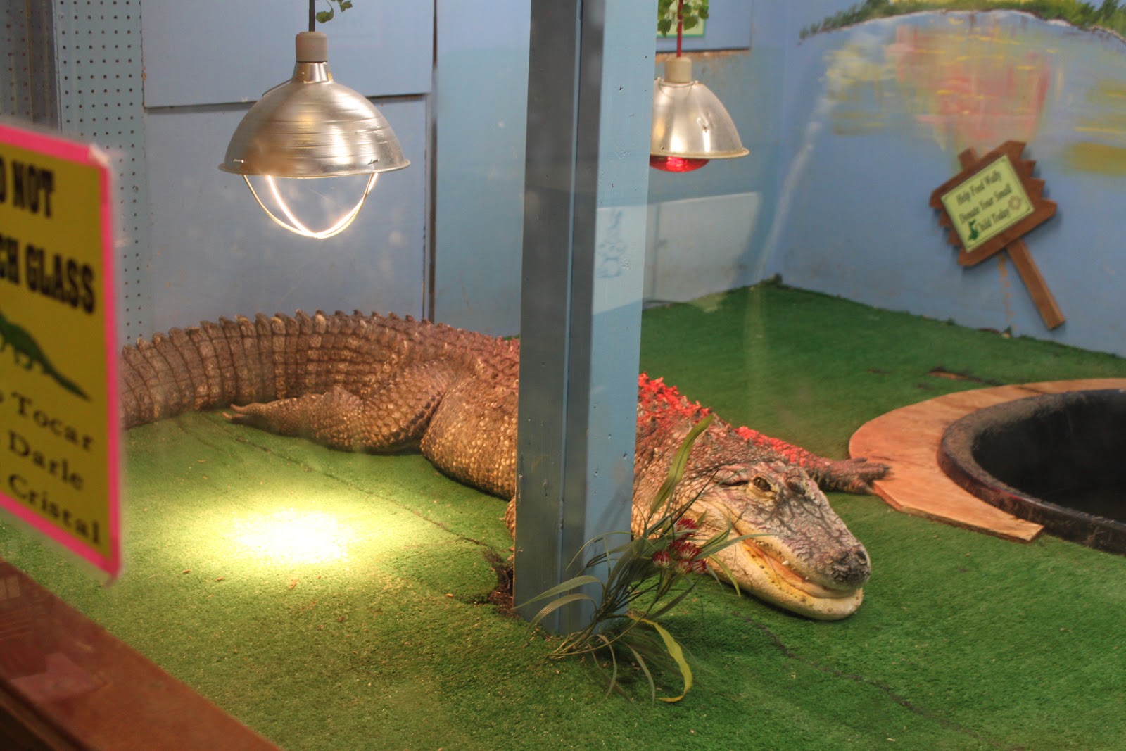 Meals I Have Eaten Times at Q Mart