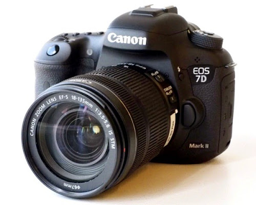 Canon EOS 7D Mark II. Digitalizer