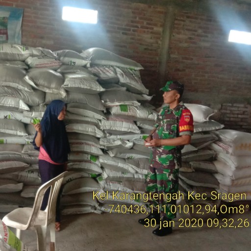 Babinsa Karangtengah Gencar Cek Ketersediaan Pupuk Bersubsidi
