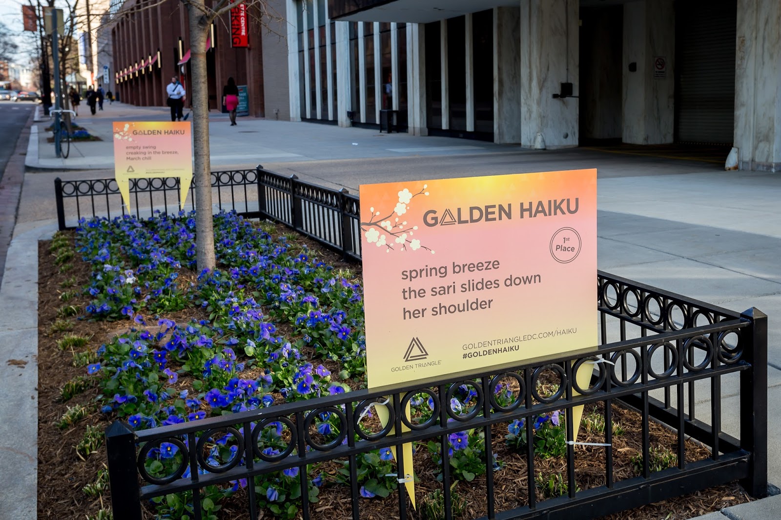 Concursuri Internaţionale 2017