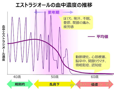 更年期にはエストロゲン(エストラジオール)の血中濃度が乱高下することでほてり、発汗、憂鬱などの精神症状、関節の痛み、疲労感、倦怠感などが生じます。同時に、動脈硬化、心筋梗塞、脳卒中、関節リウマチ、骨粗鬆症、認知症などが、目に見えないところで進行し始めます。 血中エストラジオール濃度 更年期障害