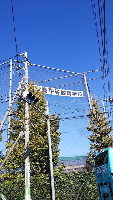 おもむくままに 草木染講座 都立三鷹高校 その１