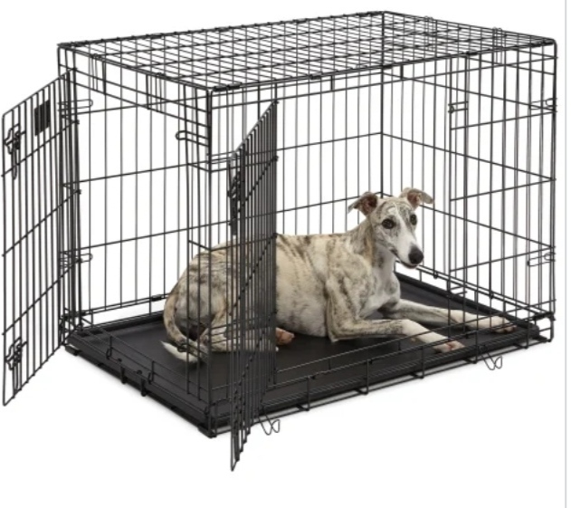 How to Secure Your Dog in Jeep Wrangler Tips and Accessories