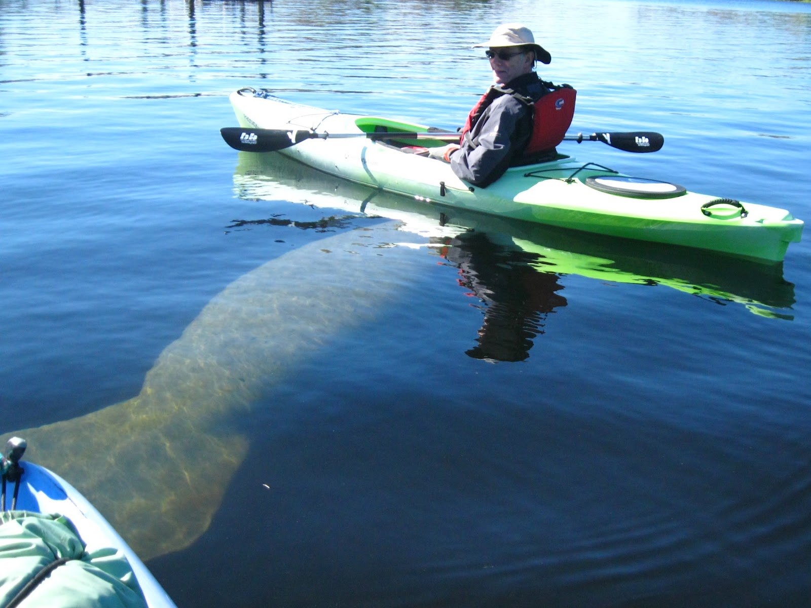 Manatee+Tour+2-13-12+002-1.jpg?width=700