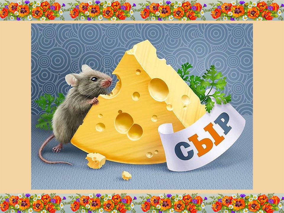 Про мышей и сыр. Мышь+сыр. Мышка с сыром. Мышь с куском сыра. Кусочек сыра для мышки.