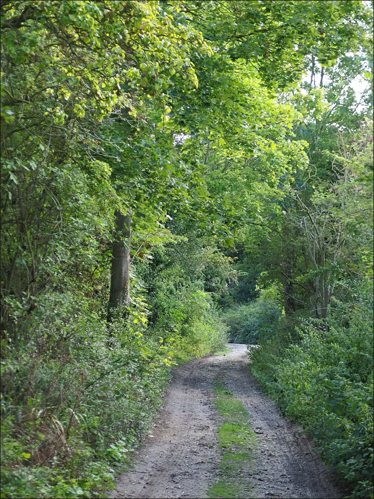 "By Stargoose And Hanglands" Down London Way