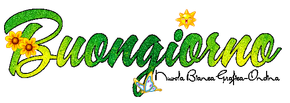Piccole Meraviglie di Fiore。 *゚¨゚ *゚¨゚ ・・ un portavaso in feltro jpg (570x202)