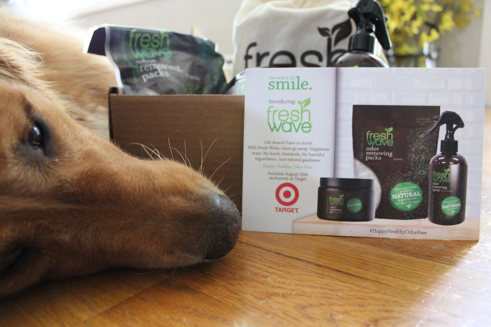 How to Ditch That Wet Dog Smell