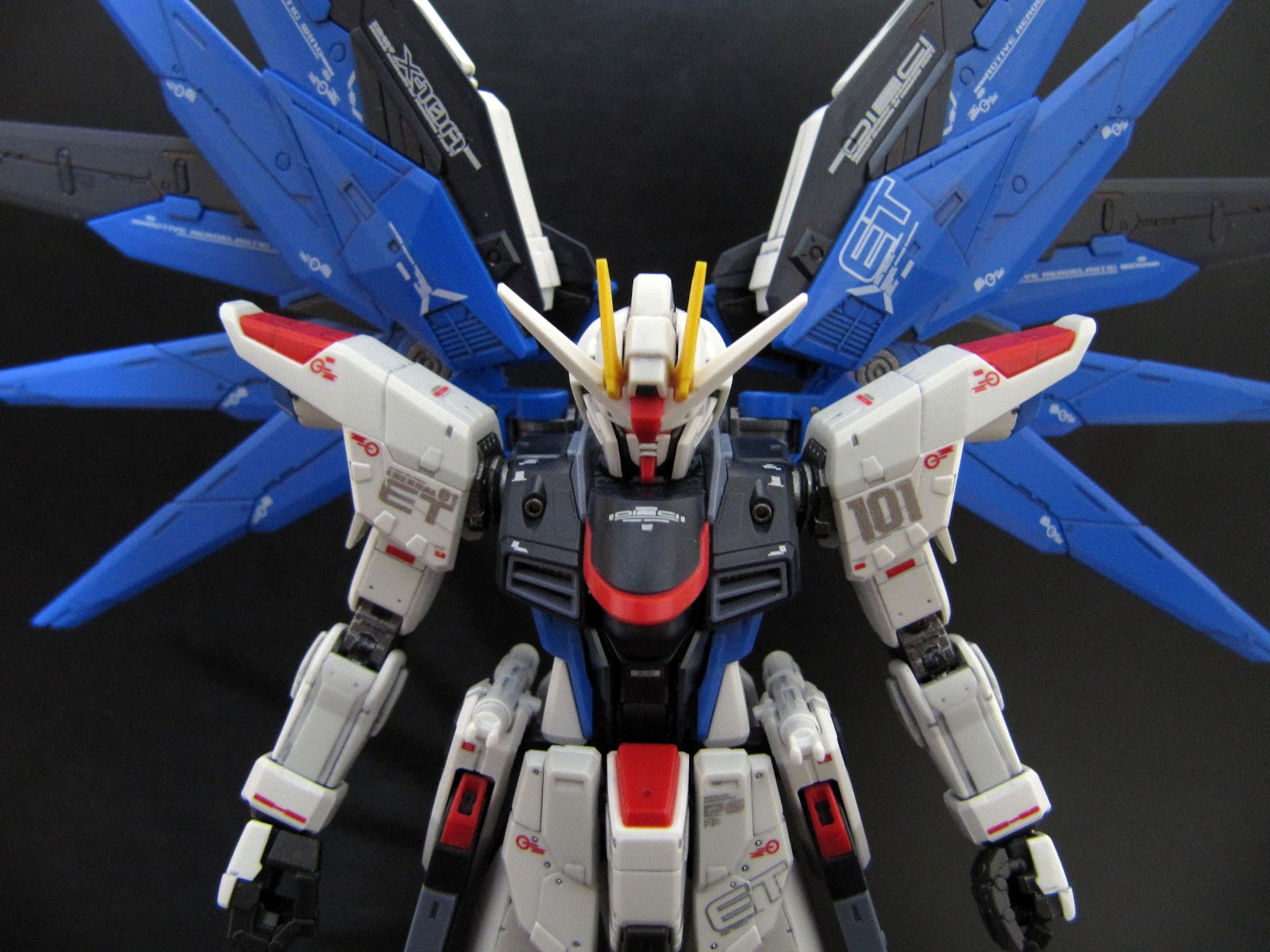 Although it is 80 done, RG Gundam Freedom Gundam already look AWESOME!