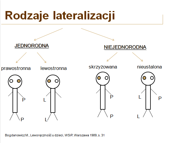 Świat Mowy: Diagnoza lateralizacji