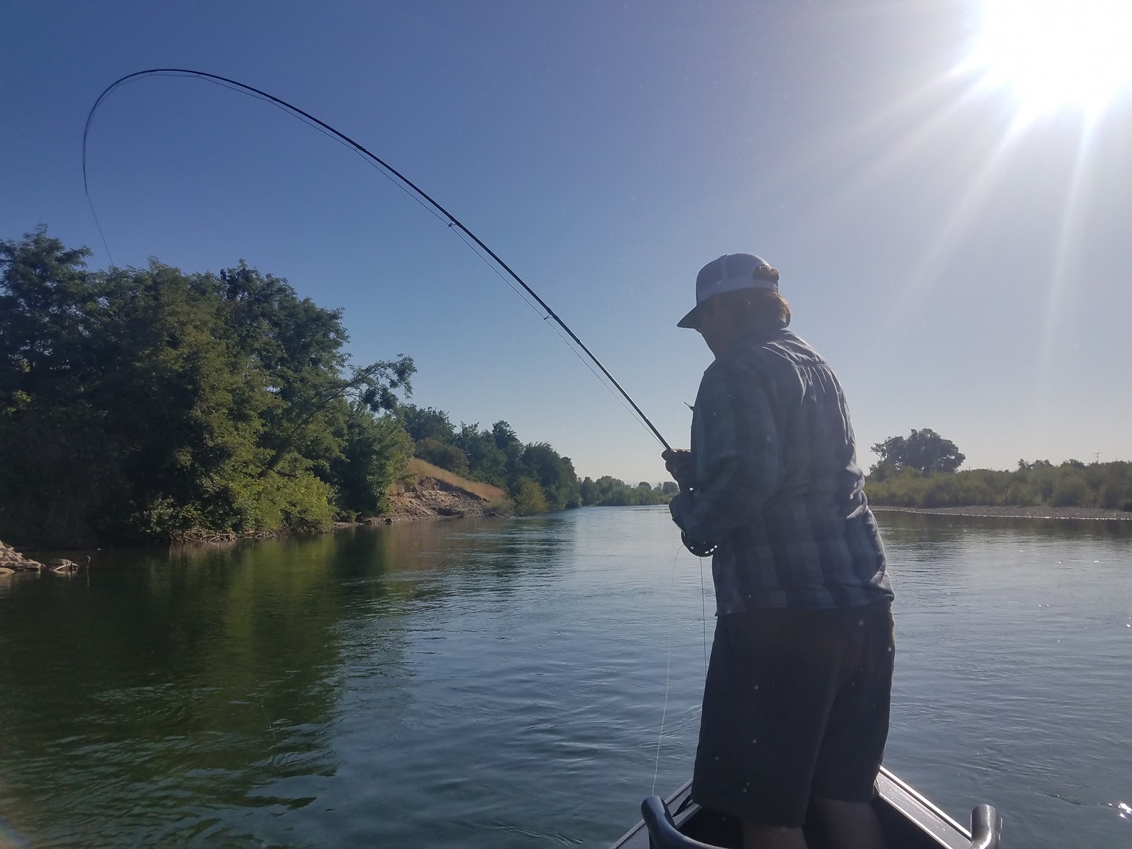 Nor Cal Fly Guides Ncfg Blog Northern California Fly Fishing Guide